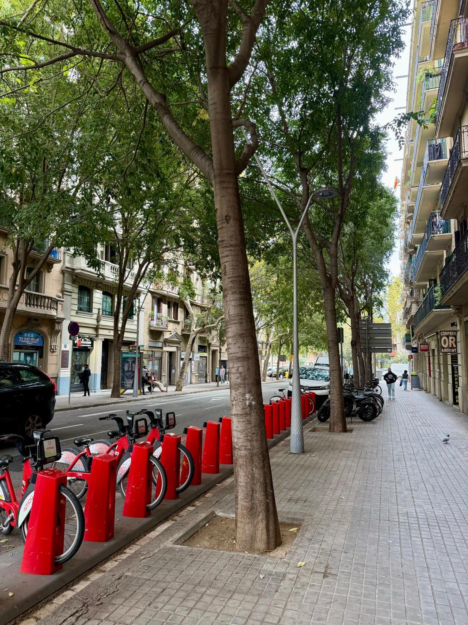 Newly Renovated Stylish Eixample - Great Location Barcelone Extérieur photo